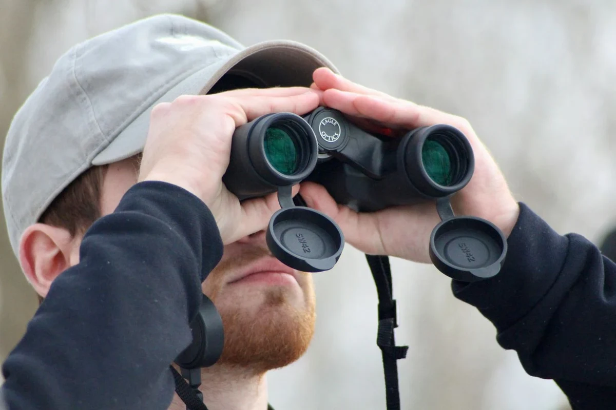 Birdwatcher using binoculars outdoors