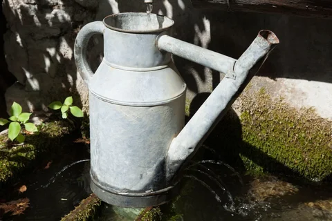 Watering can supplying water in a sunny garden