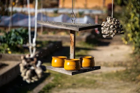 Wooden garden feeding table with a broad feeding surface