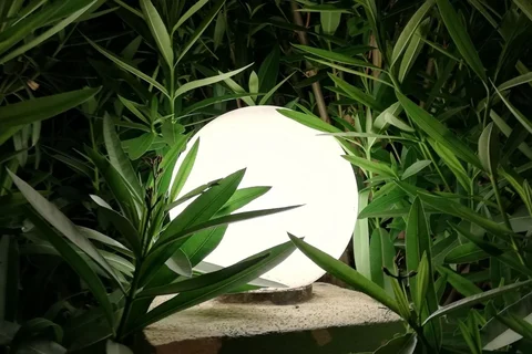 A garden lamp illuminating shrubs at night